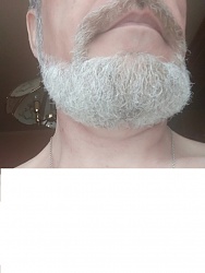 Моя борода.jpg